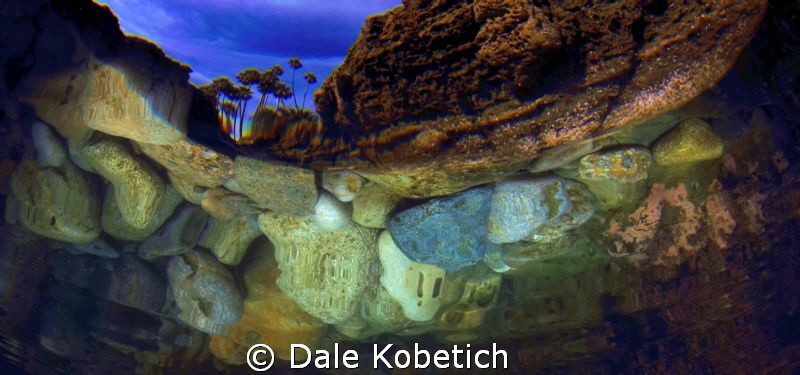 reflections from below by Dale Kobetich 