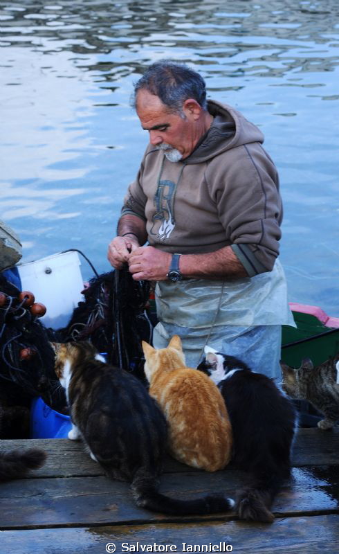 Giacomino con i gatti by Salvatore Ianniello 
