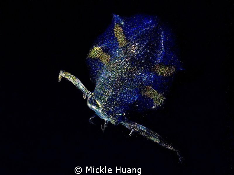 FREE JUMP
Photo on top of a squid during night dive
Nor... by Mickle Huang 