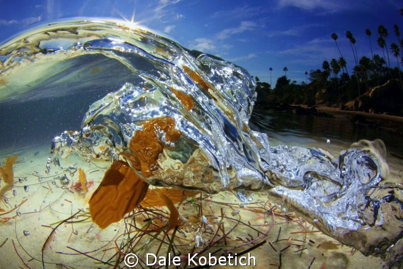Micro wave close to shore picks up allot of " Stuff " fro... by Dale Kobetich 