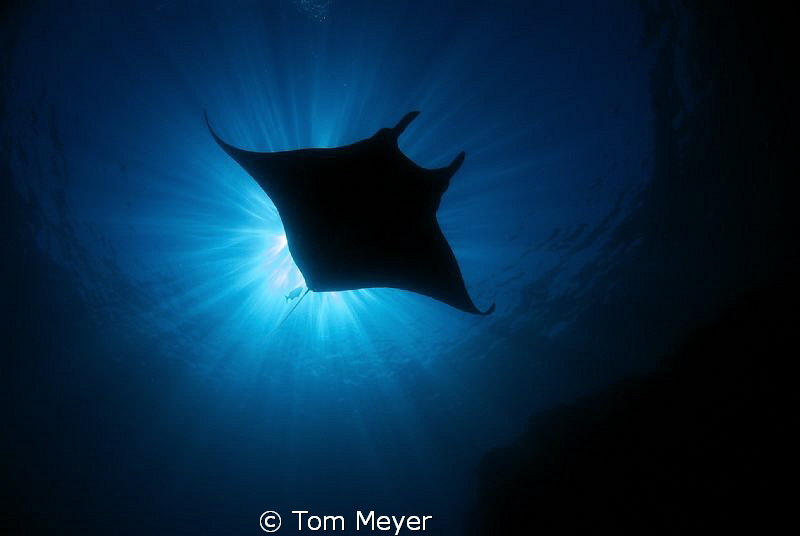 taken with Tokina 10-17 lens by Tom Meyer 