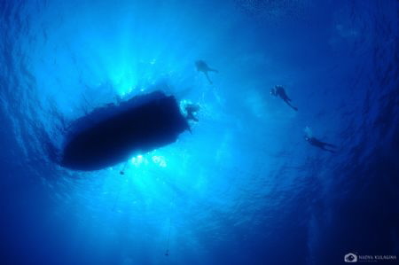 Looking up from under the boat... by Nadya Kulagina 