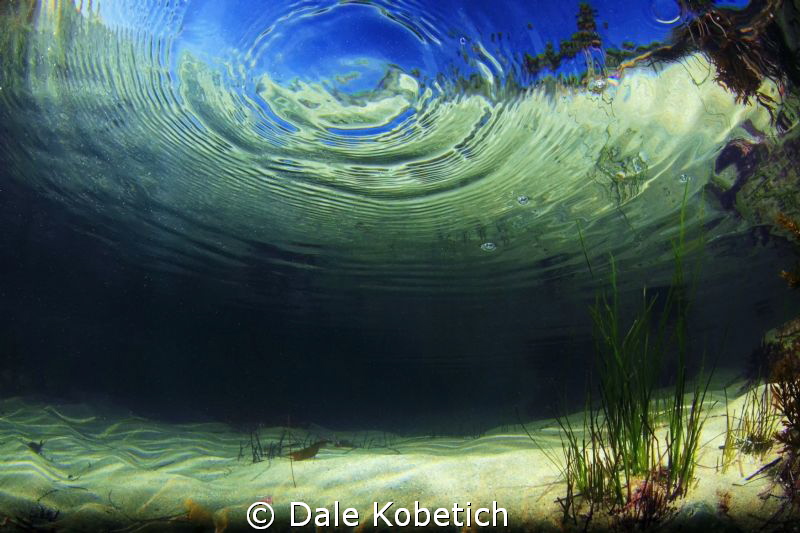 one drop in the ocean and the energy goes on forever...it... by Dale Kobetich 