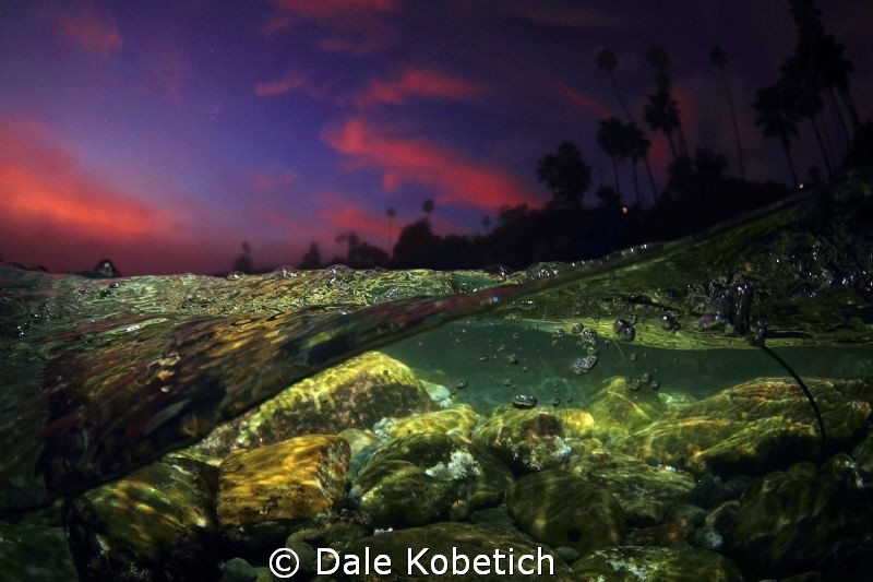 after sundown...night lagoon by Dale Kobetich 