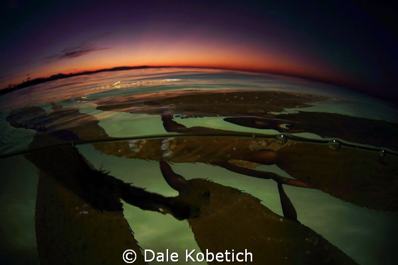 before the sun comes over the horizen in the morning...ca... by Dale Kobetich 