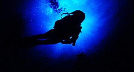 In to the blue yonder. by Gregory Grant 