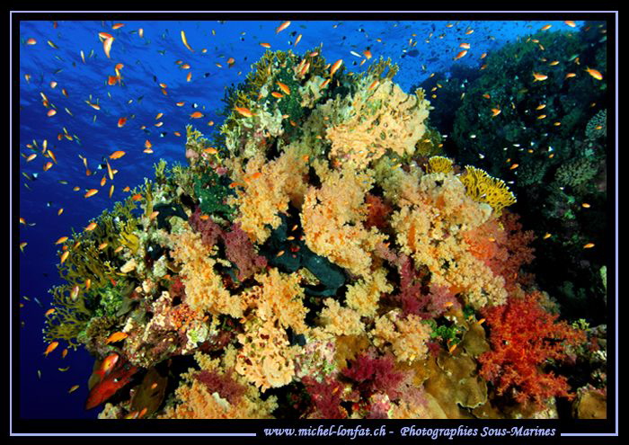Red Sea Atmosphere... :O)... by Michel Lonfat 