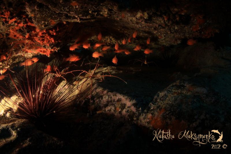 Inside a cave by Natasha Maksymenko 