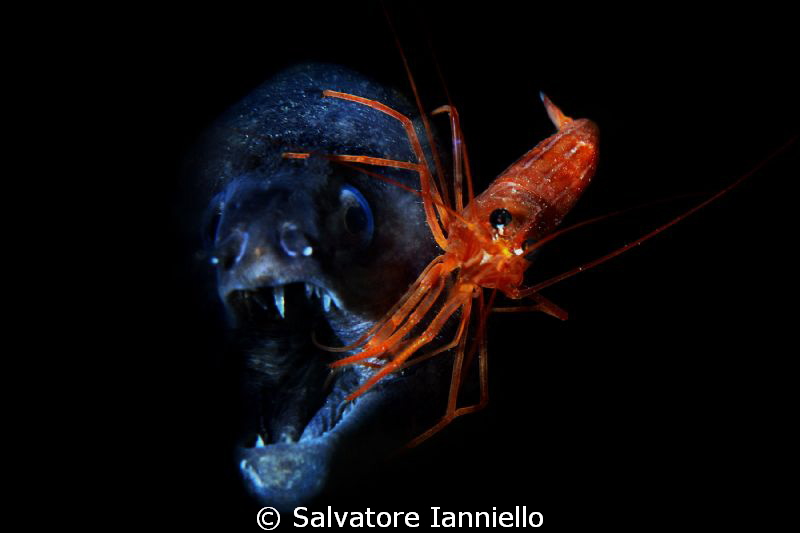 il pulitore by Salvatore Ianniello 