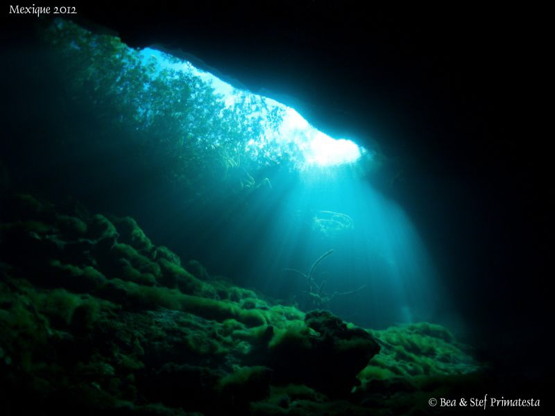 Cenote lighting. by Stéphane Primatesta 