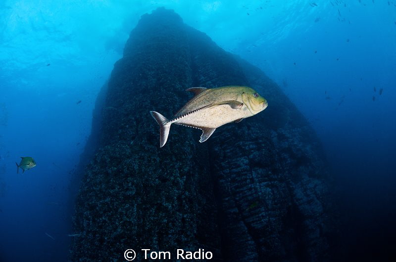 View of Roca Partida by Tom Radio 