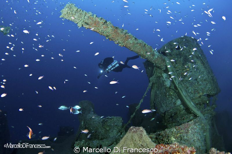 "Bolzaneto" wreck 
Ligurian Sea  fm - 45  to - 60
Levan... by Marcello Di Francesco 