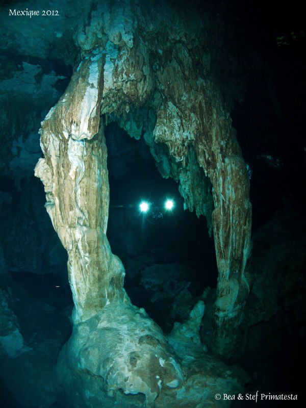 Cenote Dos Ojos. by Stéphane Primatesta 