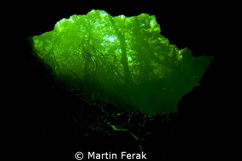 Emerald window by Martin Ferak 
