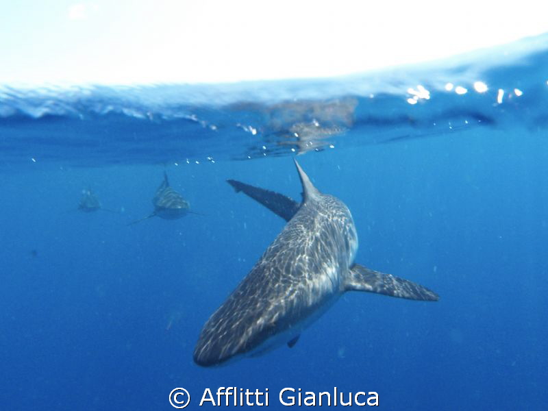 on the surface by Afflitti Gianluca 