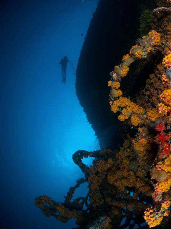 At the WIT Concrete by Juan Torres 
