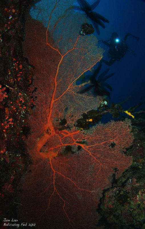 red light district by Yagit Diver 