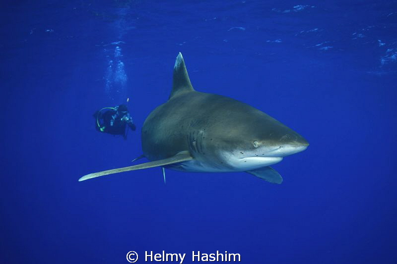 big lungi ! by Helmy Hashim 