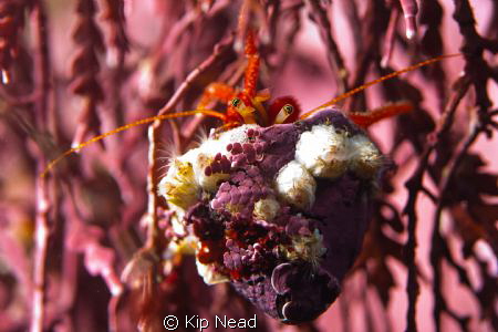 This was the first shot of the day and really was to just... by Kip Nead 