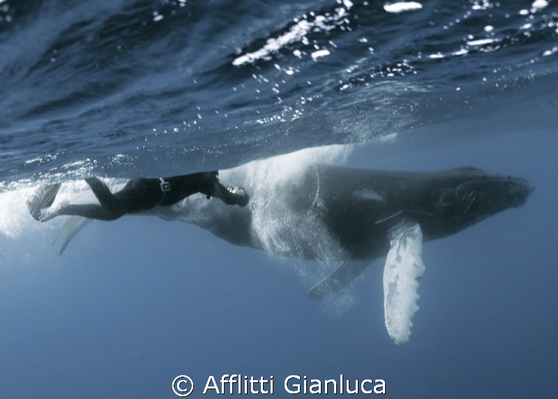 near the whale by Afflitti Gianluca 