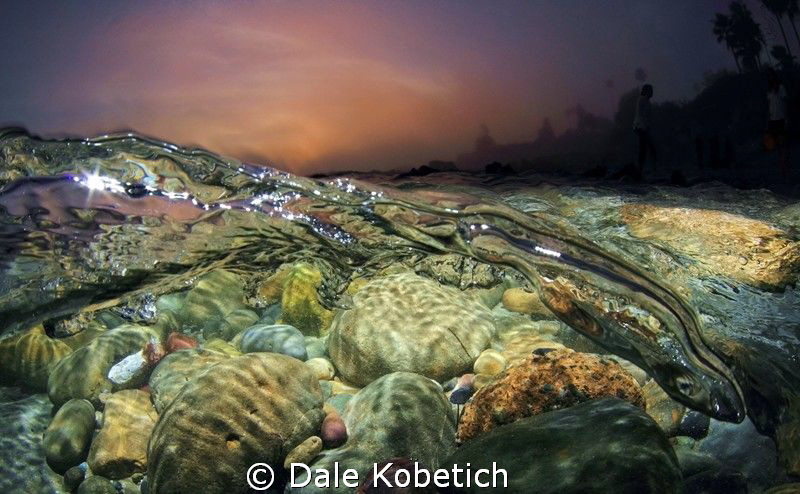 foggy evening in Laguna Beach by Dale Kobetich 