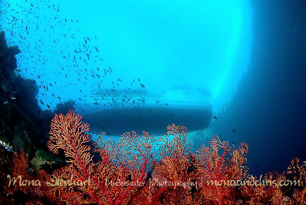 waiting for us! by Mona Dienhart 