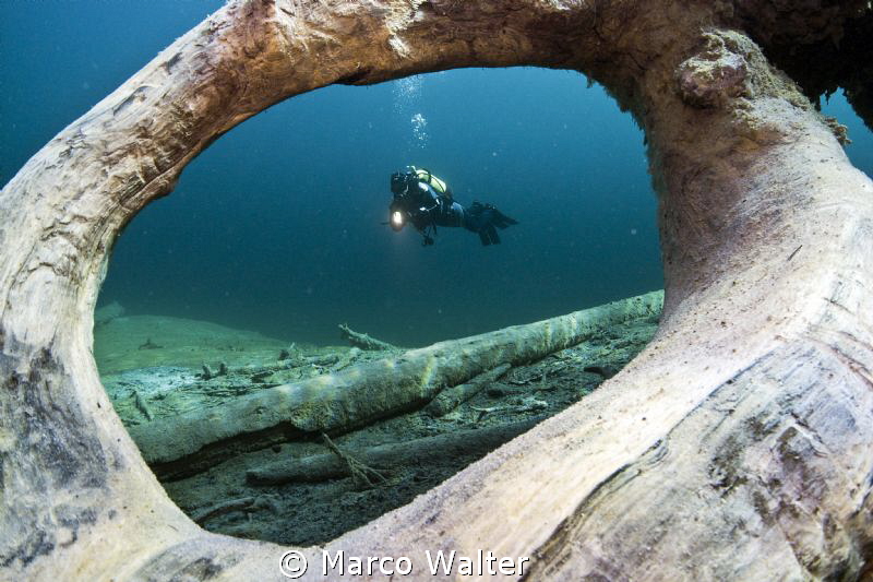 The picture is taken in the lake 'Samaranger See', Austri... by Marco Walter 