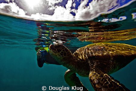 Air Breathers. An 8 year old u/w photograher hopeful has ... by Douglas Klug 