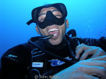 Cleaning station, Dahab. by John Walsh 