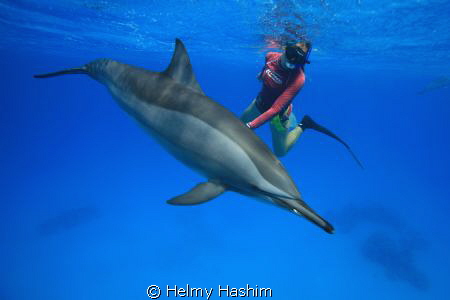 patty ! by Helmy Hashim 