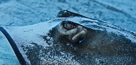 My first trip with my Canon 5dmkII 17-40mm. Up close and ... by Giny Smith 