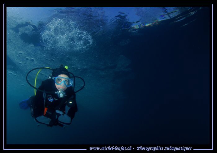 Diving our cold waters... ;O)... by Michel Lonfat 