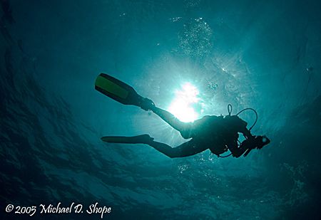 Sun burst can be a bit tricky when shooting with a digita... by Michael Shope 