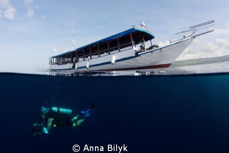 Into the blue... by Anna Bilyk 