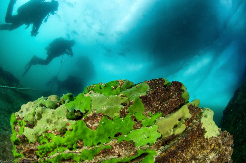 under the ice of the Baikal lake (Siberia) by Mathieu Foulquié 