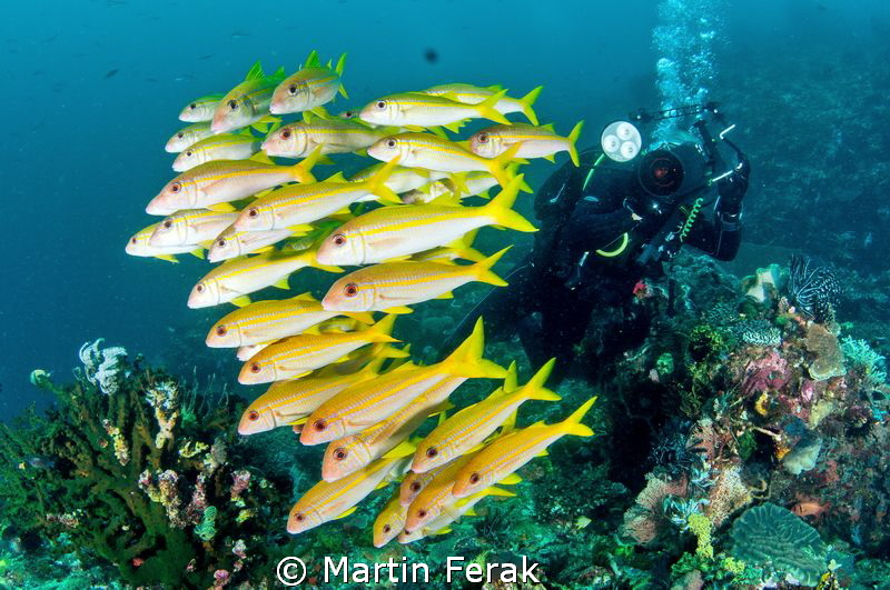 UW photographer by Martin Ferak 