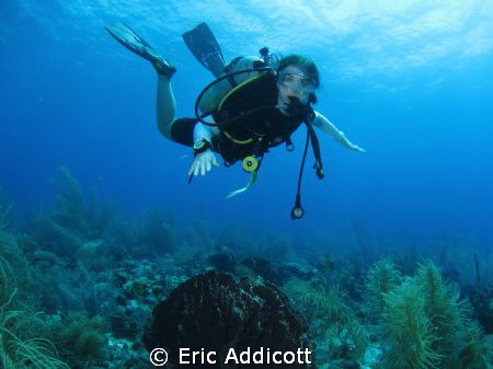 Beginner photographer, S95, shot of my wife on our 1st an... by Eric Addicott 