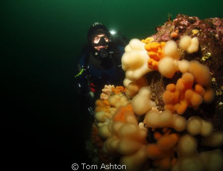 St Abbs, Black Carrs. Not many fish at this time of year ... by Tom Ashton 