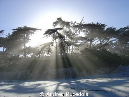 Southern California beach by Andrea Mucedola 