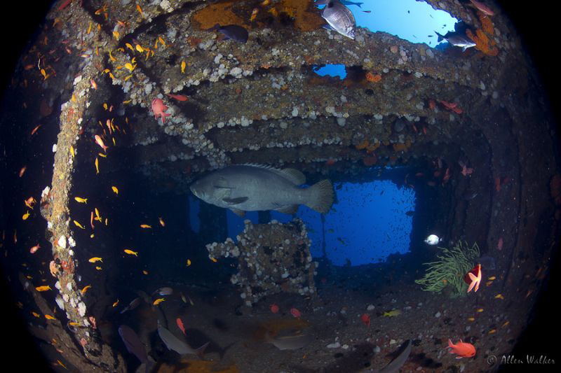 Taken inside what is left of the stern on the Produce off... by Allen Walker 