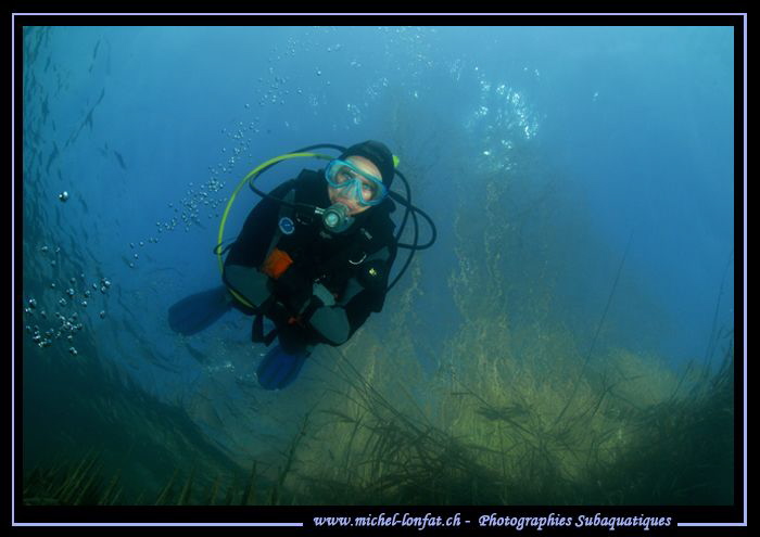 Freshwater in Cristal water diving... :O)... by Michel Lonfat 
