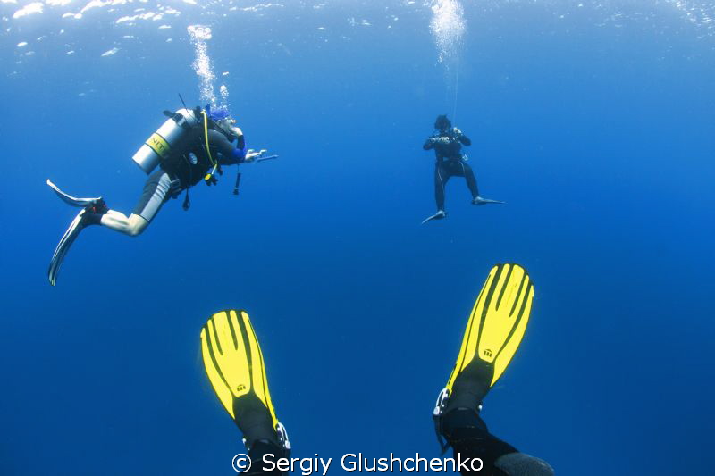 fins... by Sergiy Glushchenko 