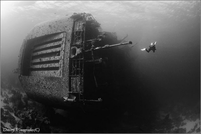 Salem Express
Nikon D70 + 10.5 mm in Sea&Sea.
Photo was... by Dmitry Vinogradov 
