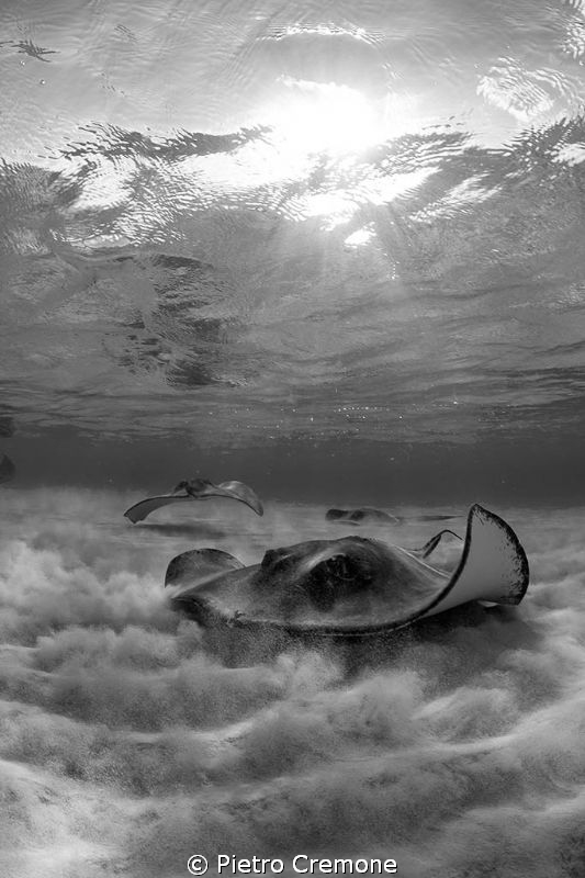 Ray of light by Pietro Cremone 
