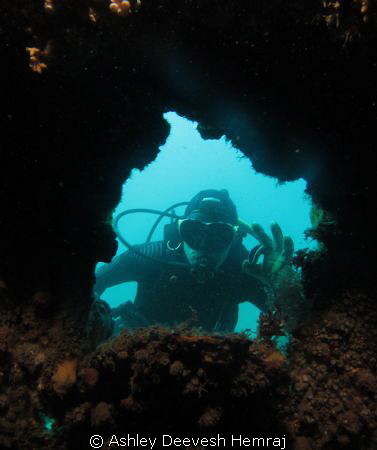 saw my buddy in through a hole in the wreck. by Ashley Deevesh Hemraj 