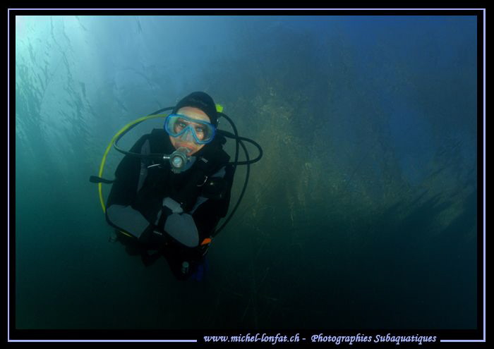 Freshwater diving... :O)... by Michel Lonfat 