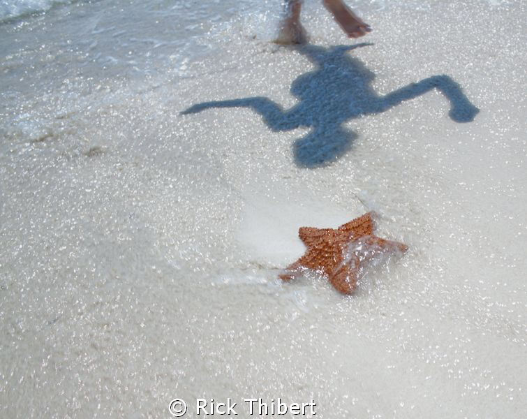 Dancing shadow and Starfish by Rick Thibert 