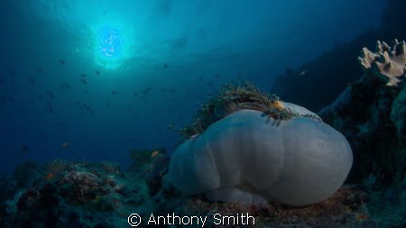 Look at you by Anthony Smith 