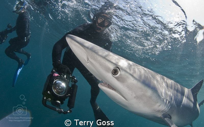 "Hangin' with my boy Blue" - playing with the awesome & f... by Terry Goss 