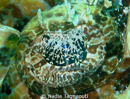 t'as de beaux yeux tu sais! by Nadia Tagnaouti 